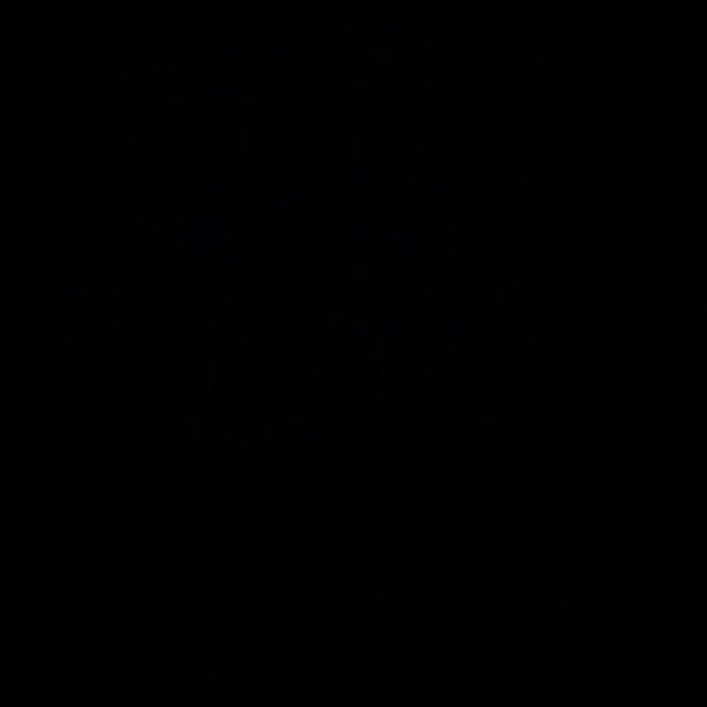 Meet your Posher, Максим